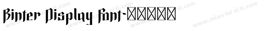 Binter Display Font字体转换